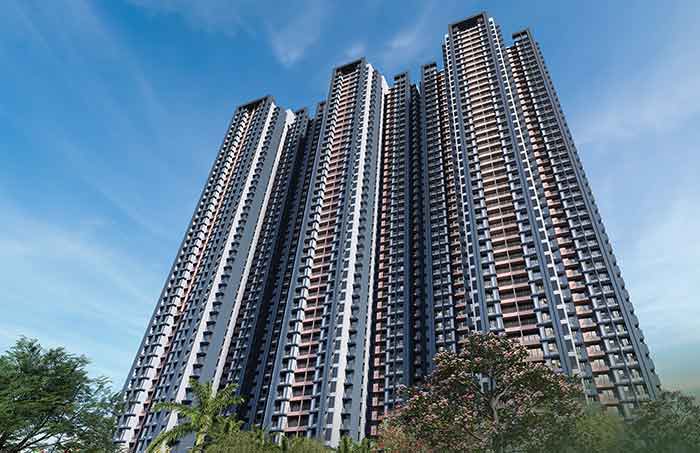 Avatara The Forest Kingdom